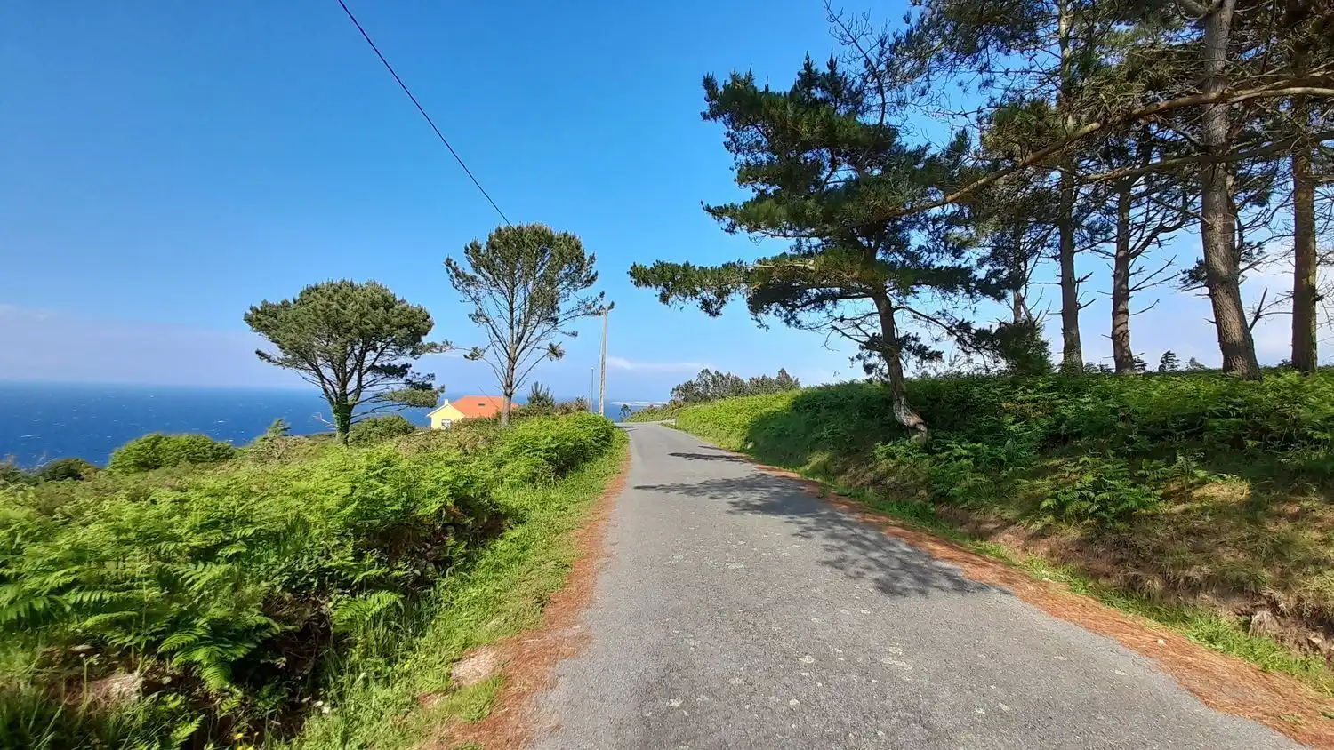 Rural land for sale in Lugar Val Arriba 3, imagen 21