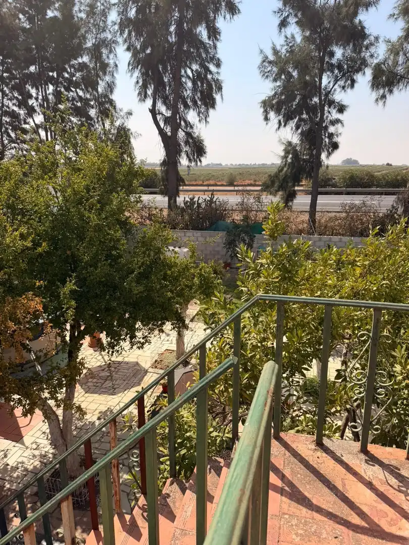 Casa amb piscina en venda a MATALLANA CALLE VIRGEN DEL ROCIO, imagen 31
