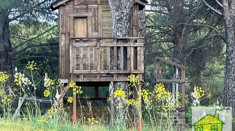 Foto 4 de Finca rústica en venta en N/a, -1, Andújar, Jaén