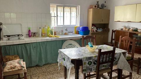 FINCA RUSTICA EN LA MUELA CON CASA PARA REFORMAR, immagine 4
