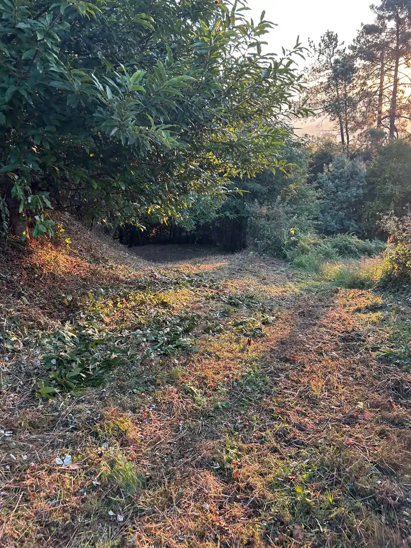 Terreni e lotti in vendita a Soigrexa, imagen 14
