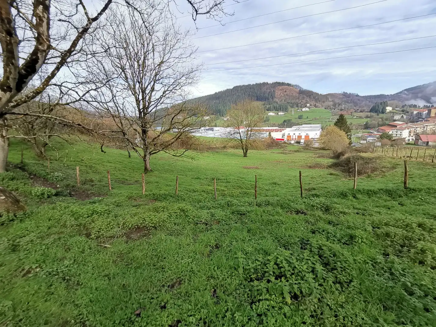 Country homes for sale in Elgeta