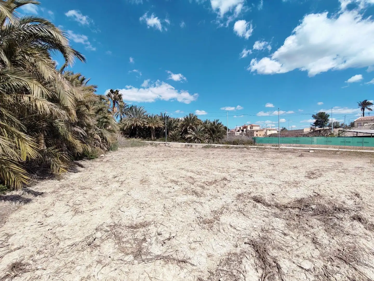 Lands and plots for sale in Abanilla, imagen 4