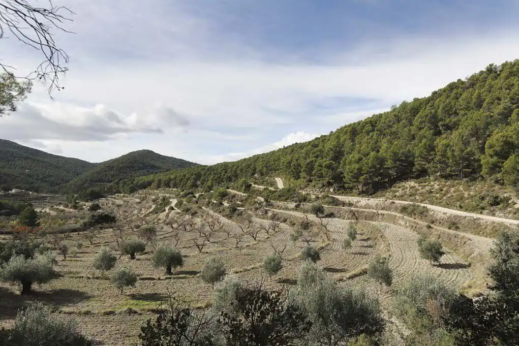 Casa rústica en venta en Torremanzanas / La Torre de les Maçanes, imagen 18