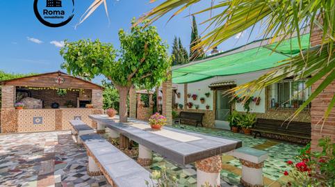 Foto 3 de Finca rústica en venda a  Pago del Ramal del Rey, Pinos Puente, Granada