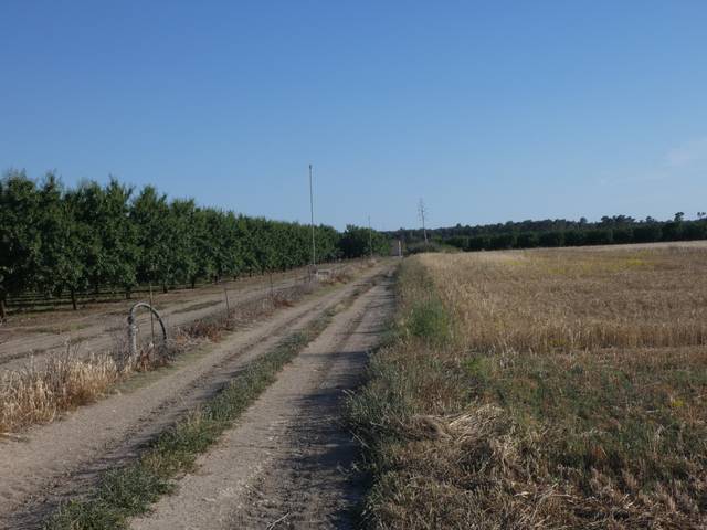 Terreno en Venta en Vilafranca de Bonany