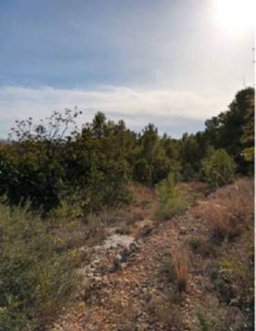 Terreno en Venta en Partida Bovalar, 138 en Mestrets