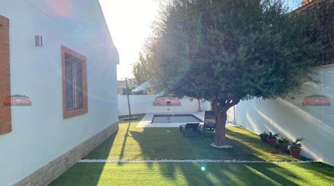 Photo 4 of House or chalet for sale in Torre de la Horadada, Alicante
