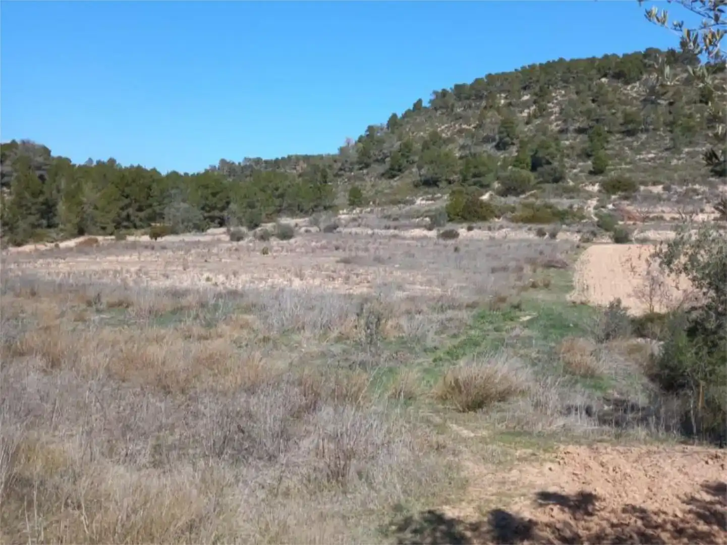 Terreno en venta en Corbera d'Ebre