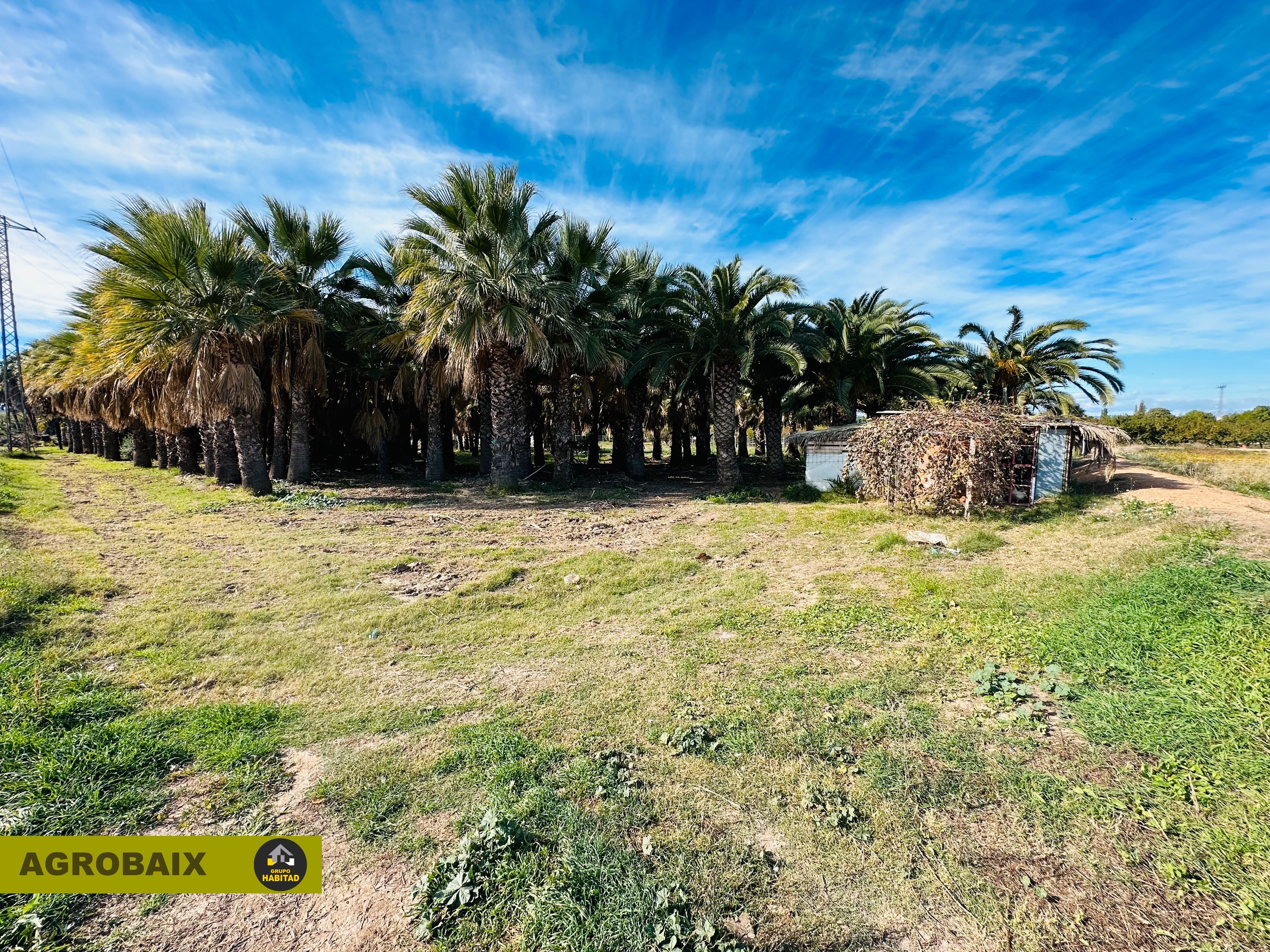Land for sale in Les Planes