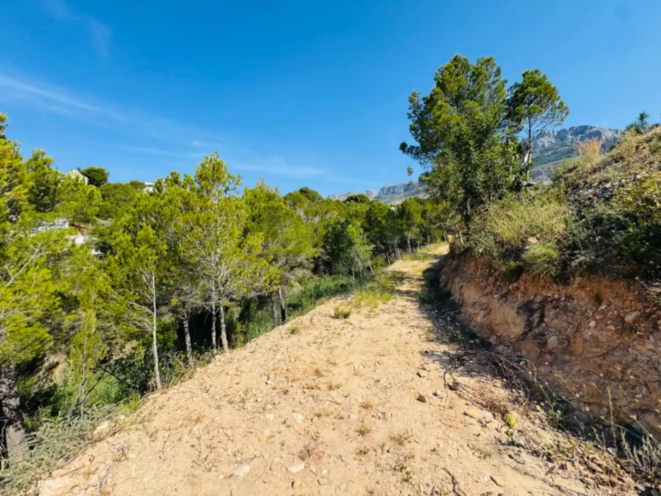 Residential land for sale in Altea la Vella, imagen 21