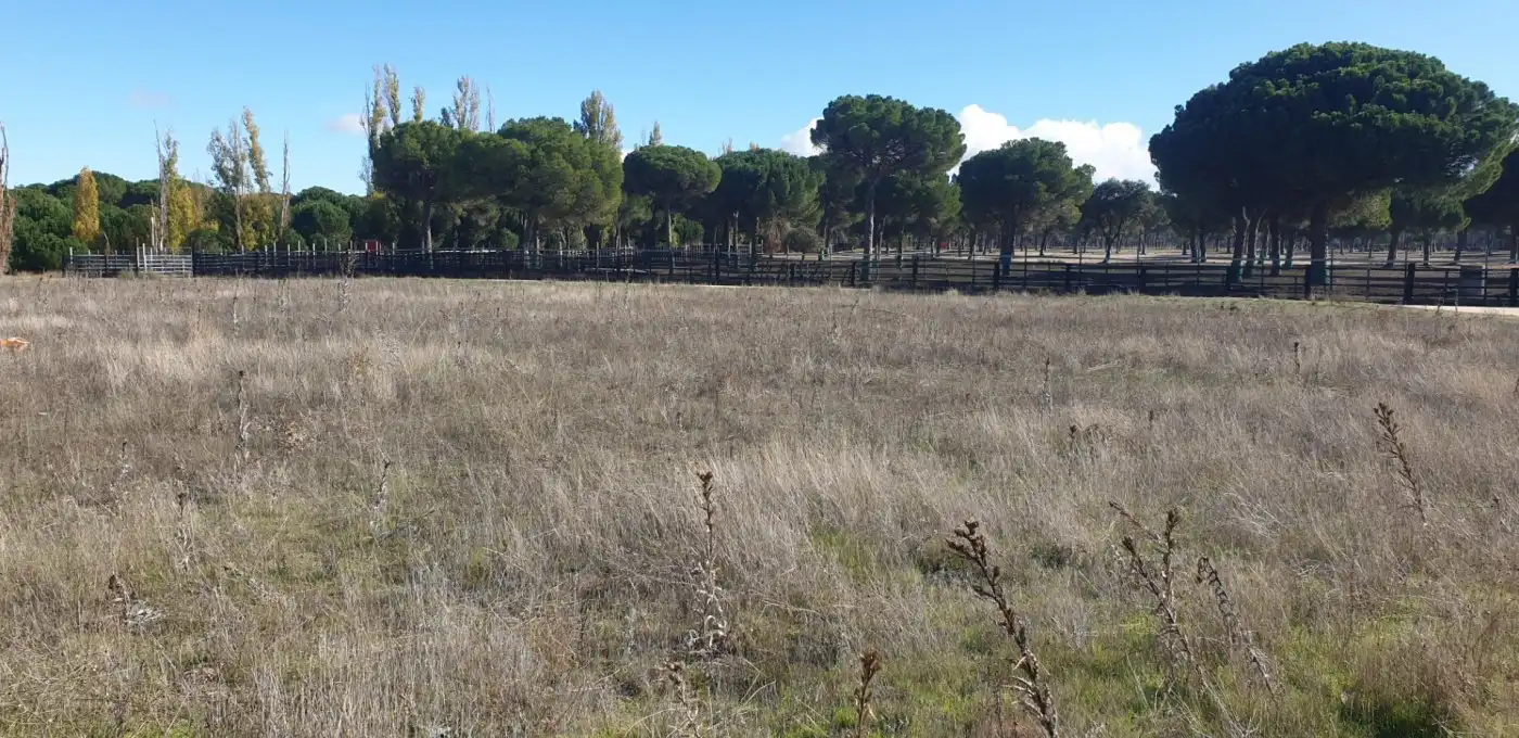 Terreni e lotti in vendita a Aldeamayor de San Martín, imagen 10