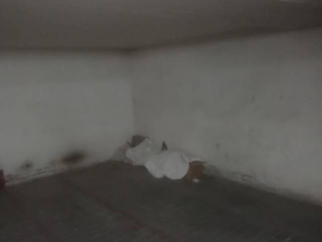 Garaje en Alquiler en Carrer Poeta Miguel Hernandez, 56 en Reina Victoria - Miguel Hernández