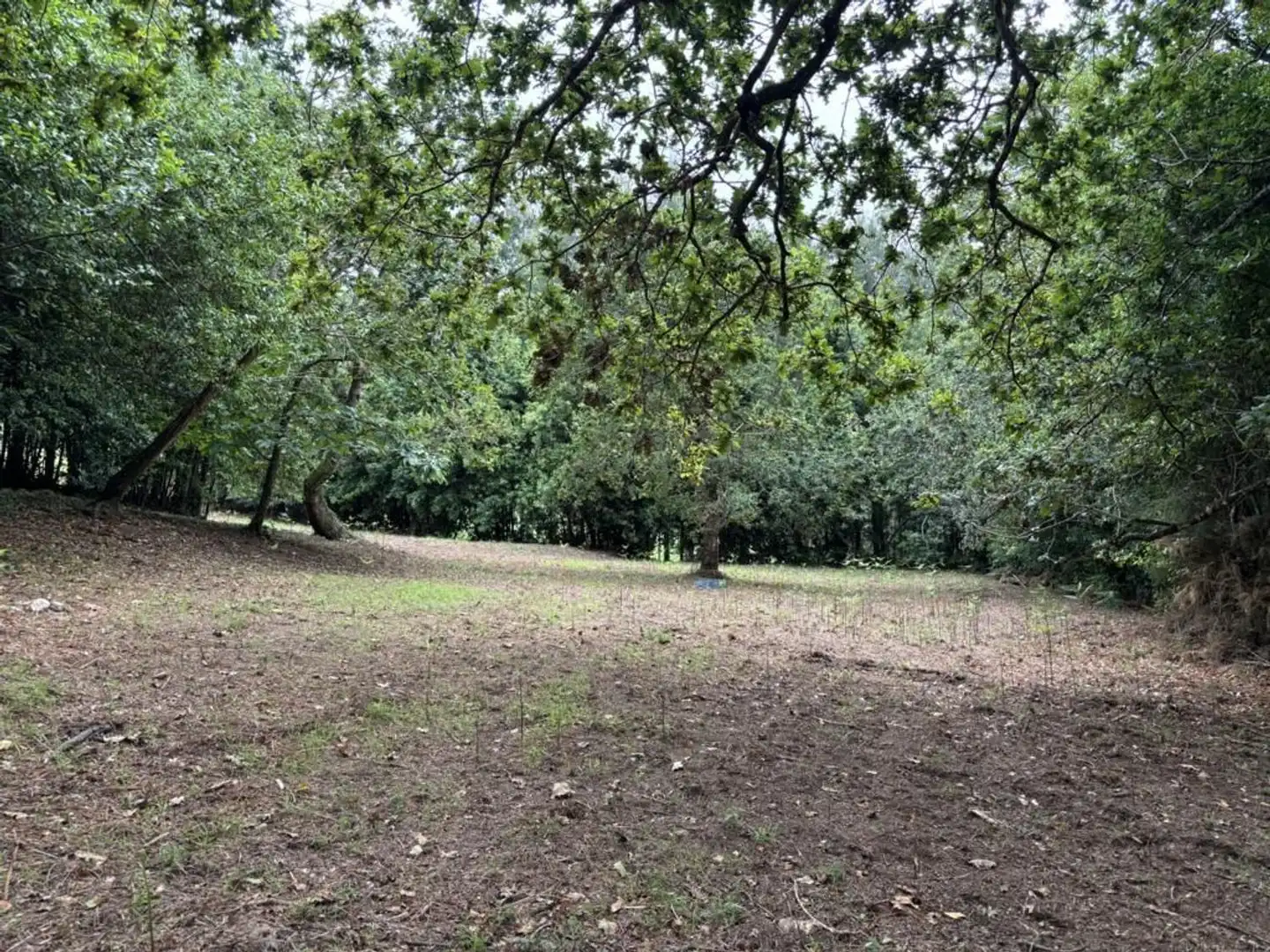 Country homes for sale in O Vicedo 