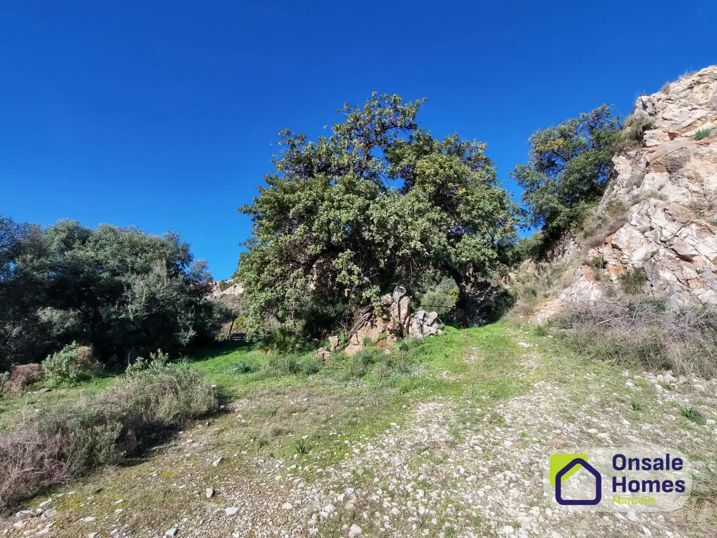 Terreno en venta en Ojén