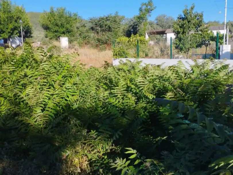 Terrain résidentiel à vendre à Cruz de Hierro 10, imagen 4