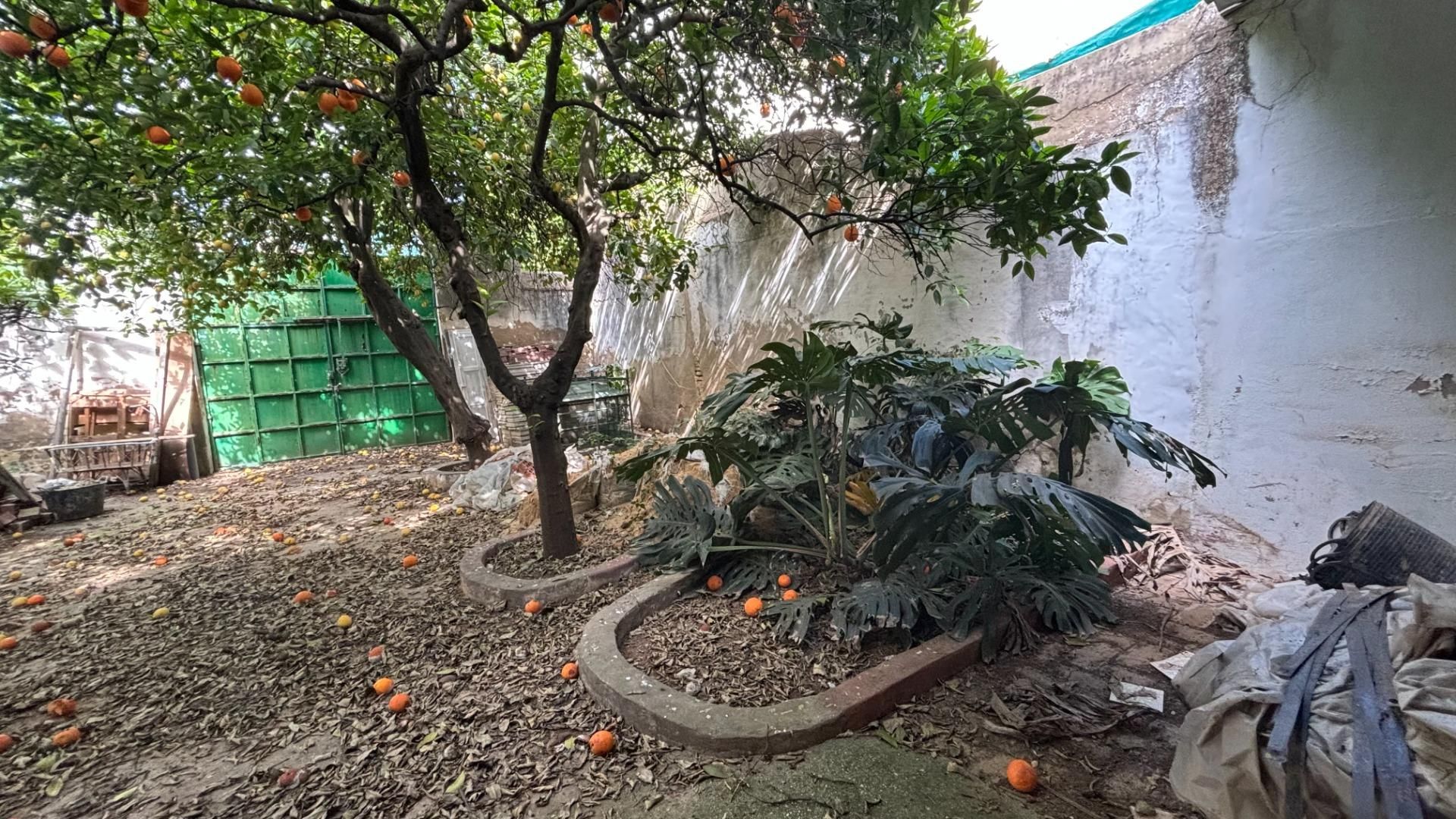 Jardí de Casa o xalet en venda en Pilas amb Jardí privat, Terrassa i Traster