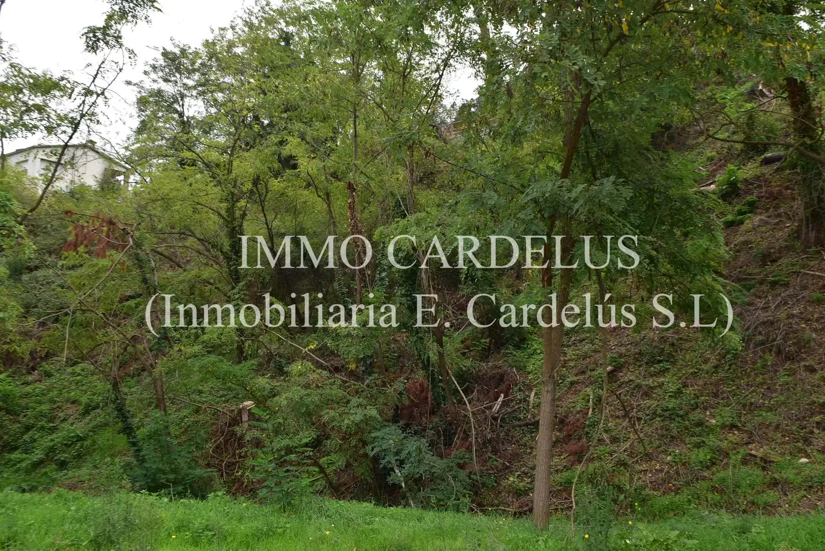 Residential land for sale in Vallgorguina, imagen 2