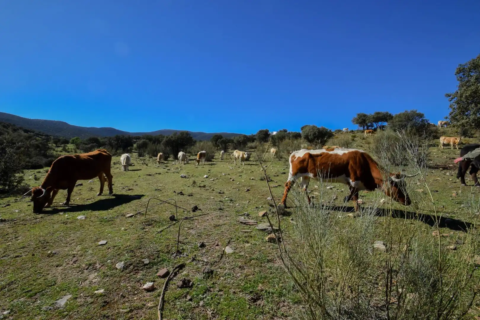 Terreno en venta en Paraje de las Perdices, Lugros