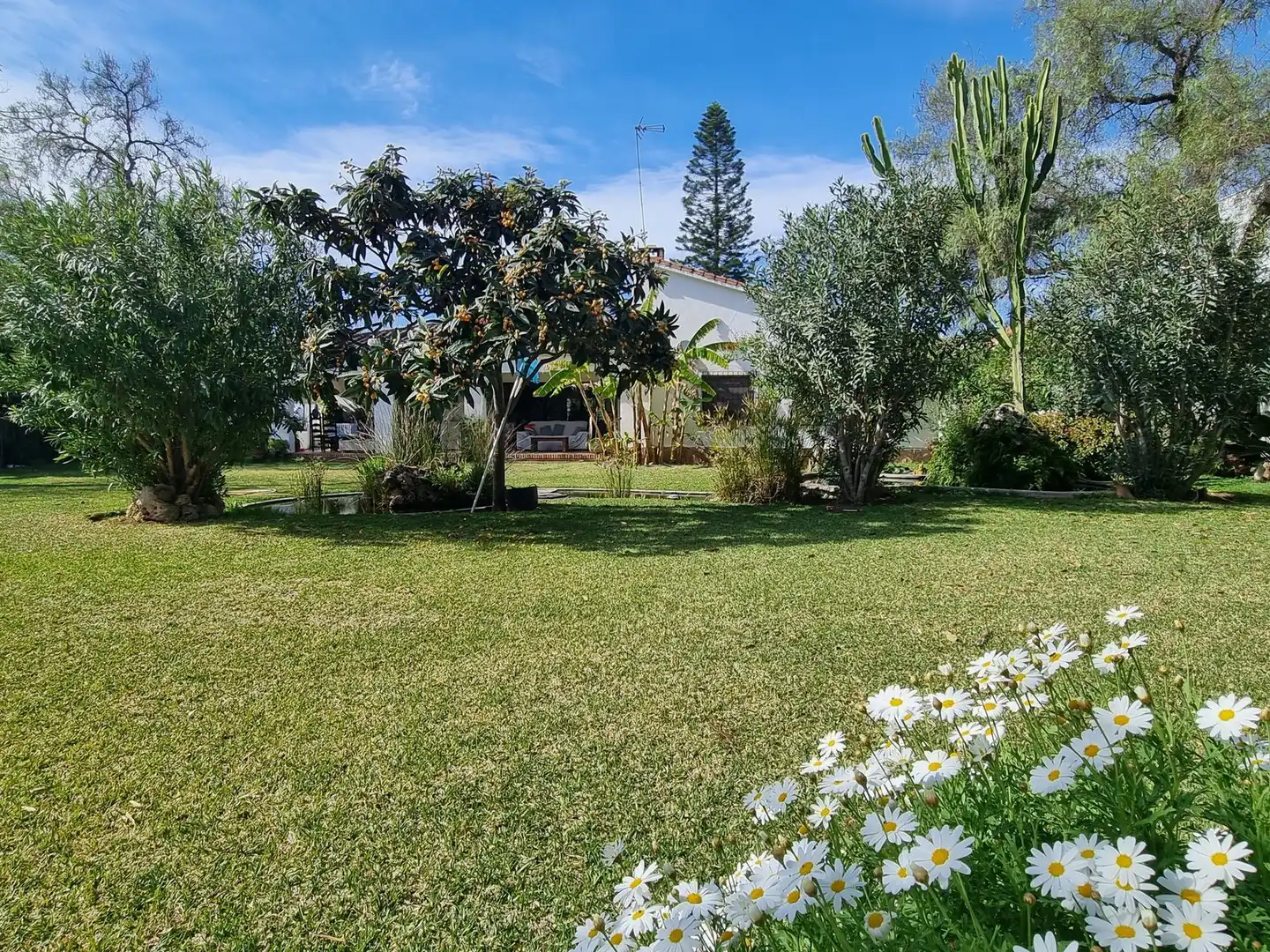 Villa con piscina in vendita a Avenida José Banús 32, imagen 26