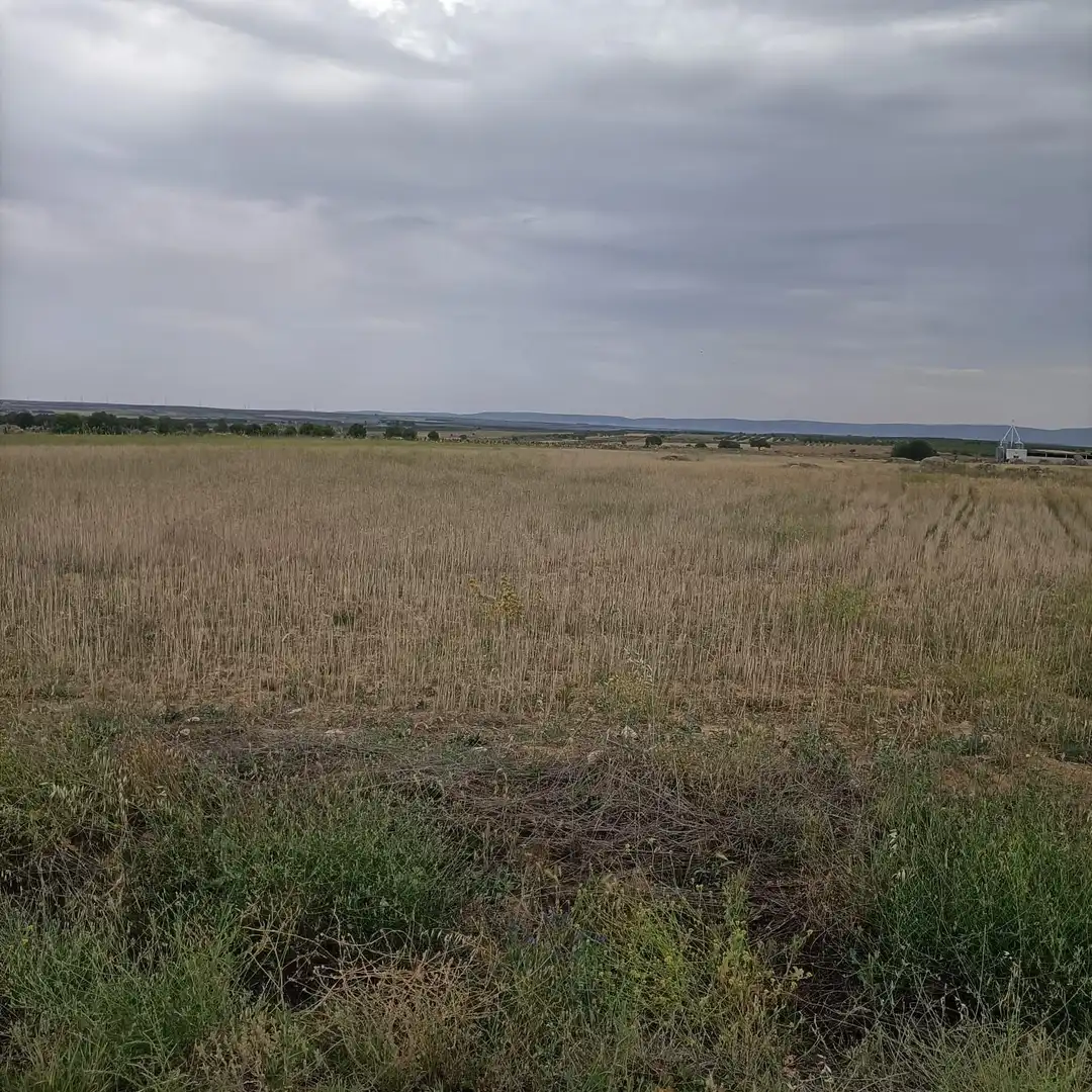 Terreno rustico in vendita a Nambroca, imagen 6