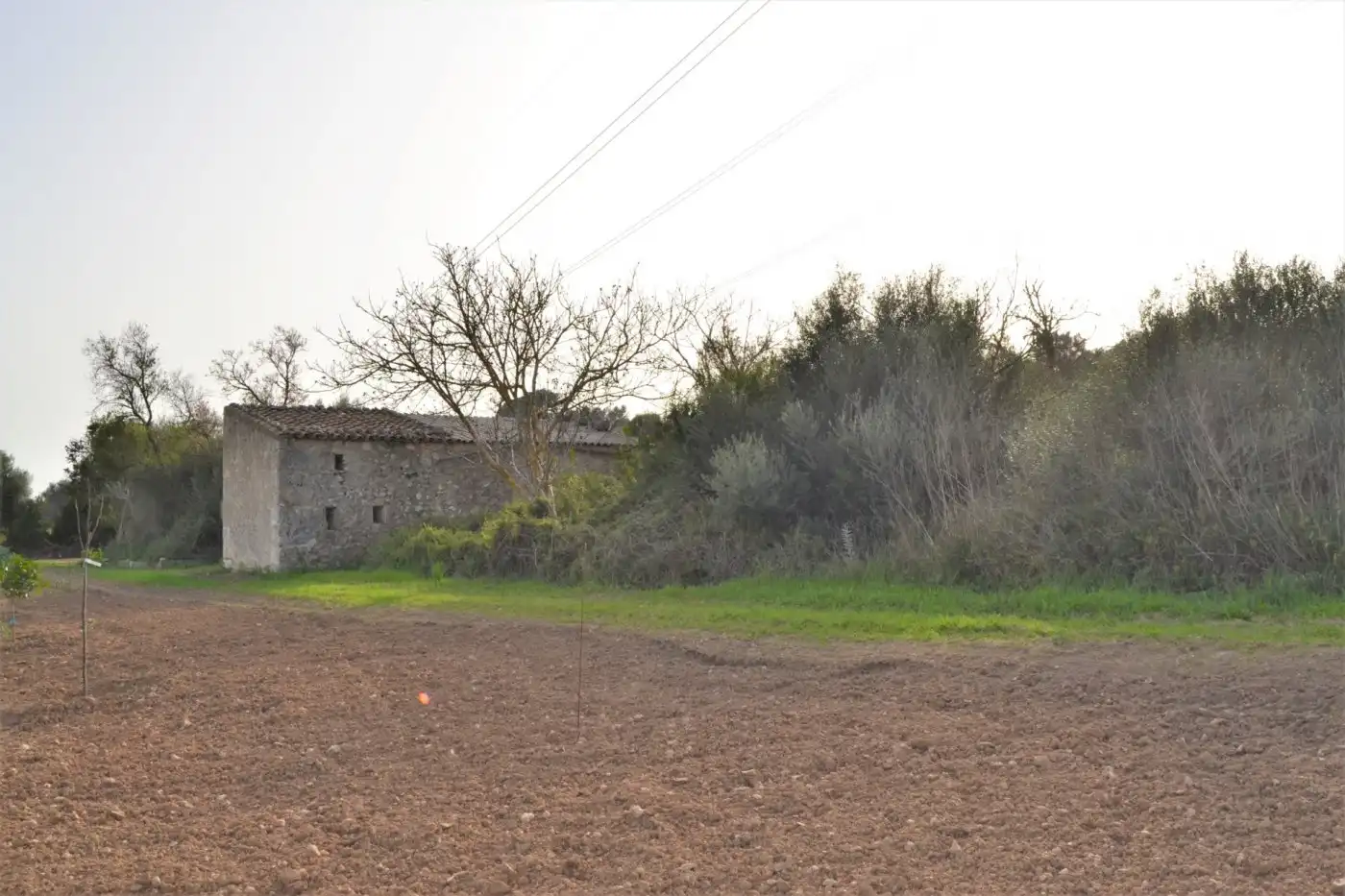 Landhaus zum Verkauf in Muro, imagen 7
