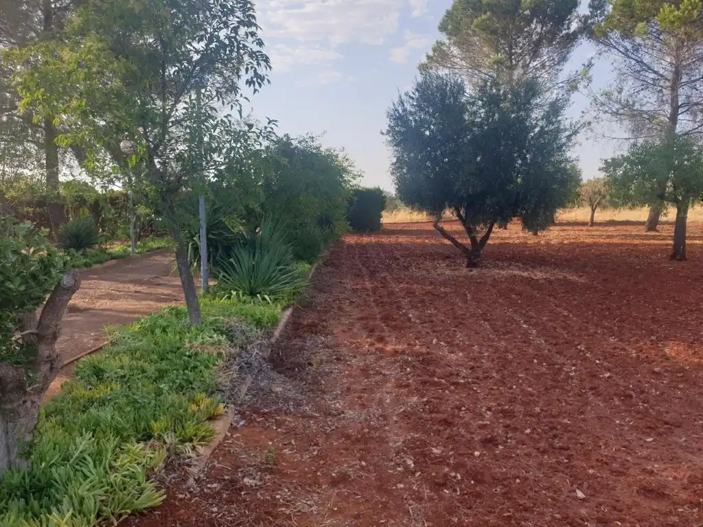 Xalet en venda a Argamasilla de Calatrava, imagen 10