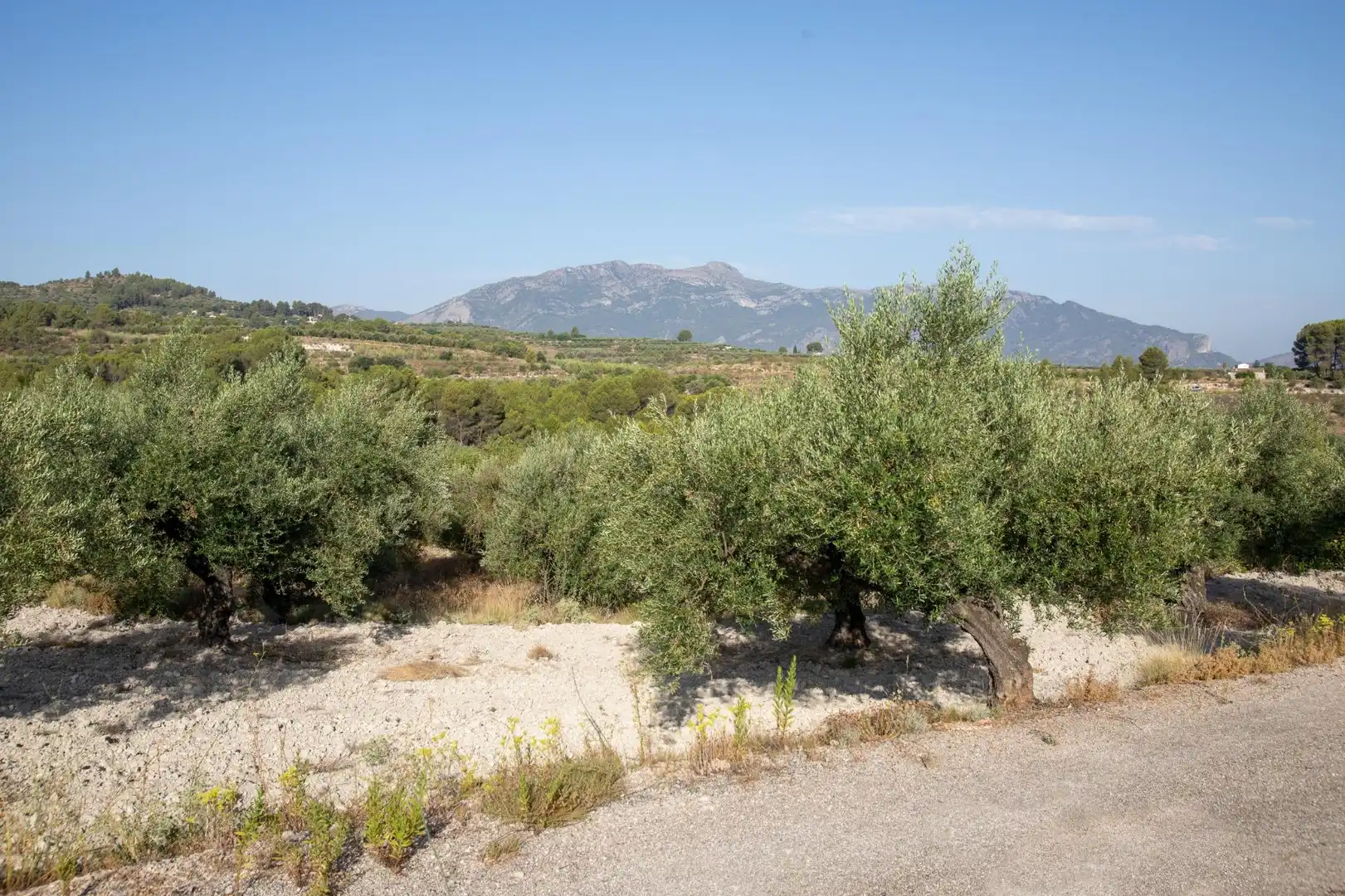 Residencial en venta en  Palma de Mallorca