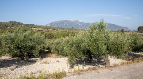 Foto 2 de Residencial en venda a Cort, Palma de Mallorca
