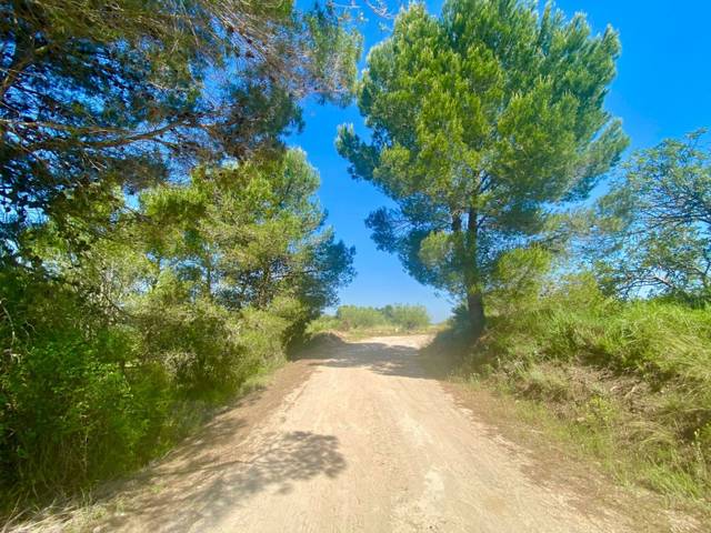 Terreno en Venta en  POLÍGONO 10 PARCELA 493 en Navarrés