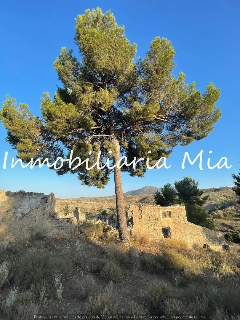 Houses for sale in Puerto Lumbreras