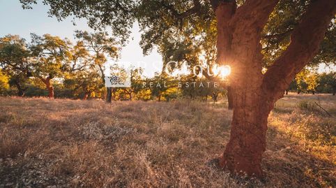 Photo 3 of Residential for sale in 7, Cala, Huelva