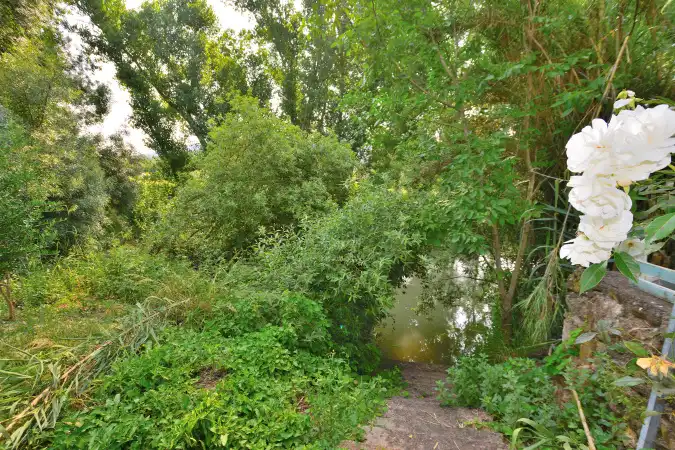 Grundstücke zum Verkauf in Cortes de la Frontera