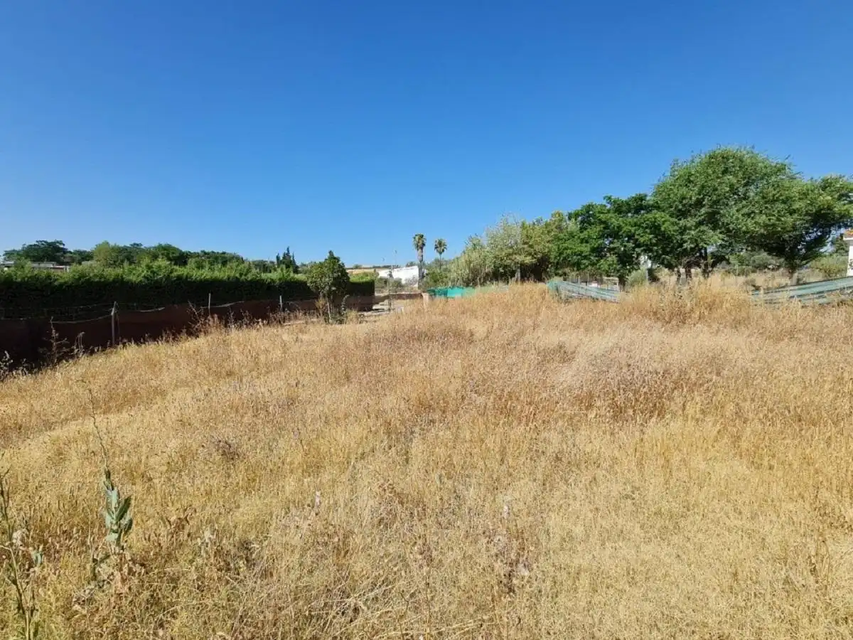 Chalet con piscina en venta en Calle Sierra de Aracena 38, imagen 6