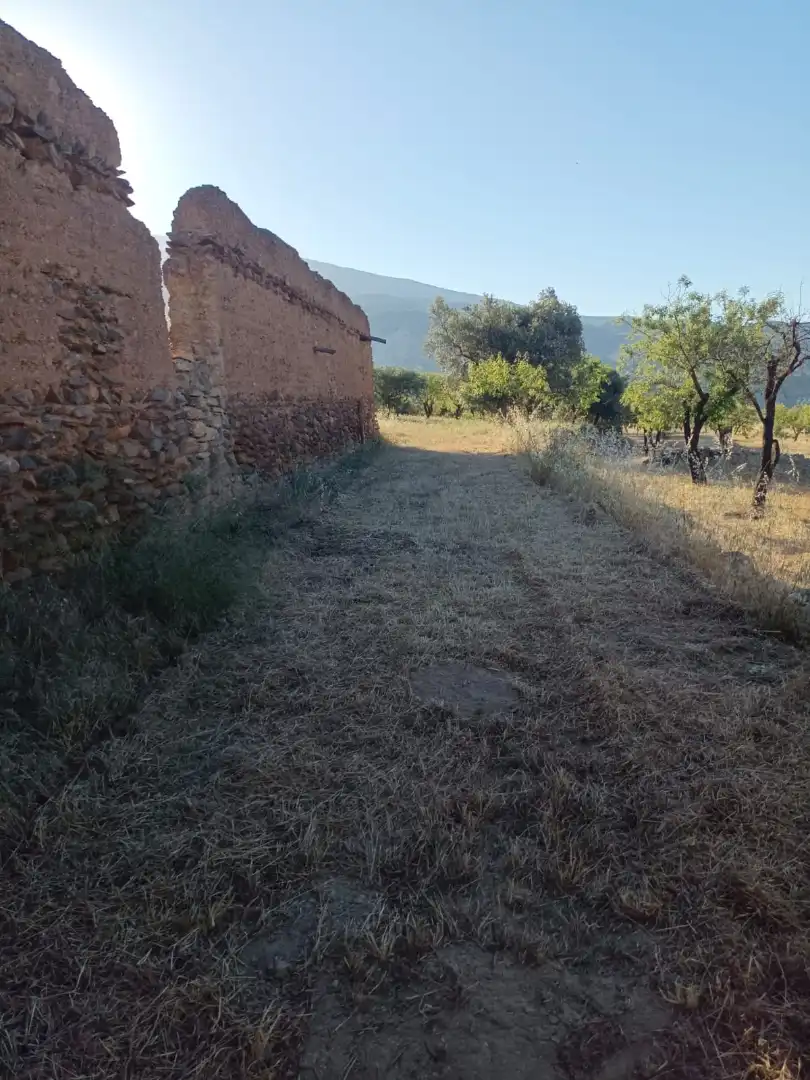 Rural land for sale in Nigüelas, imagen 12