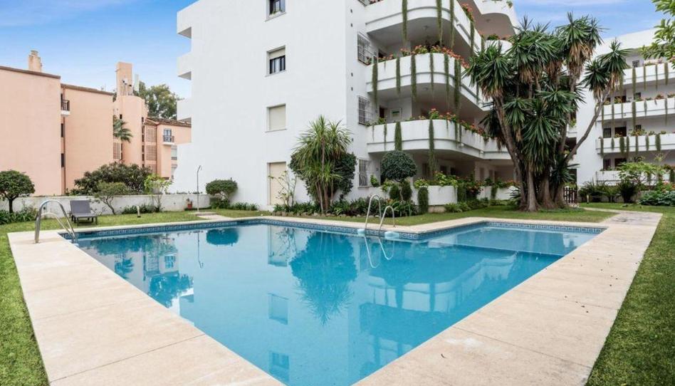 Foto 1 de Pis de lloguer a Nueva Andalucía centro, Málaga