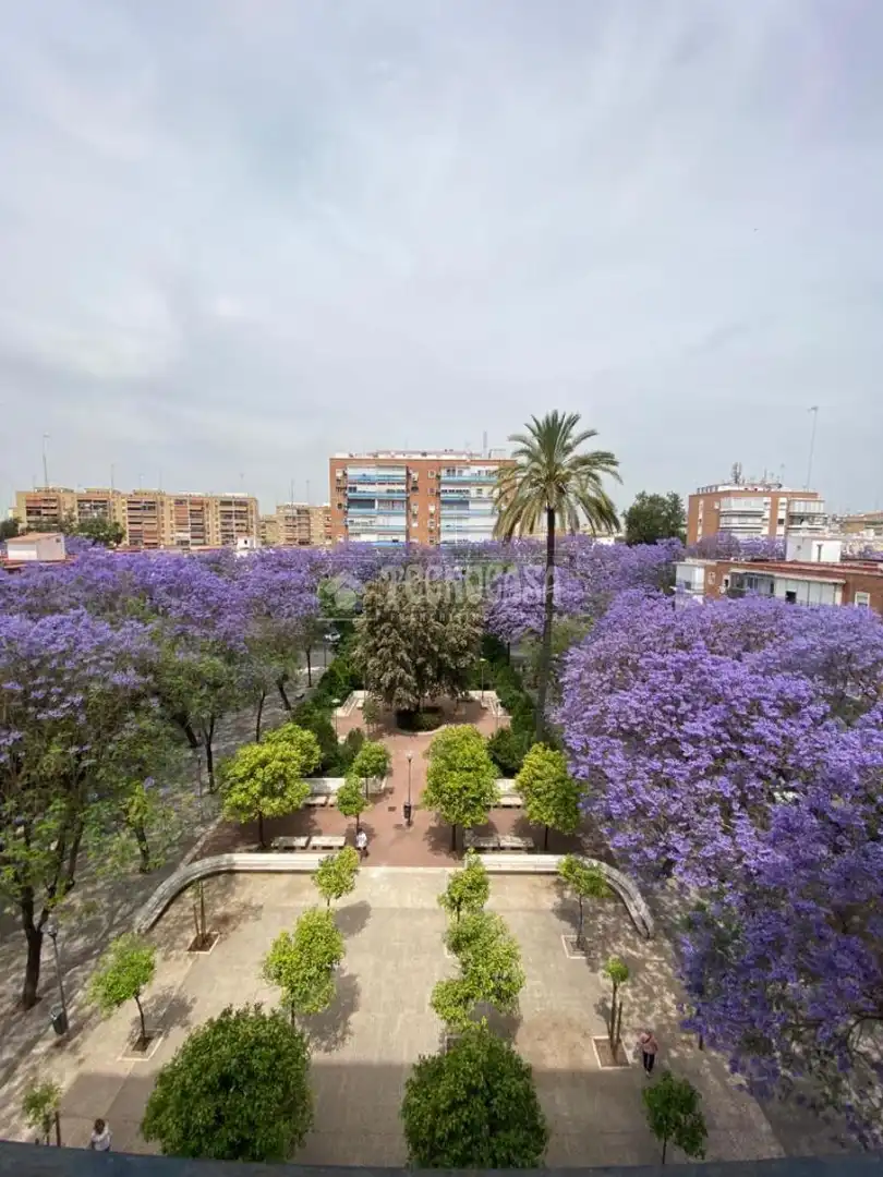 Vista exterior de Garatge en venda en Sevilla