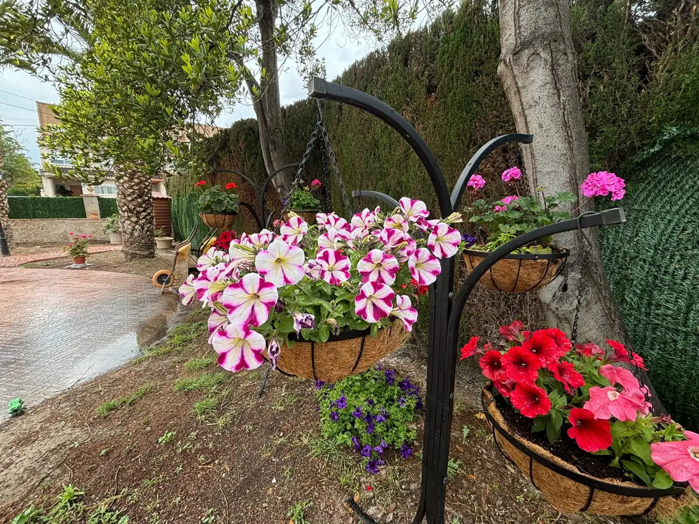 Jardí de Casa o xalet en venda en Petrer amb Aire condicionat, Terrassa i Piscina