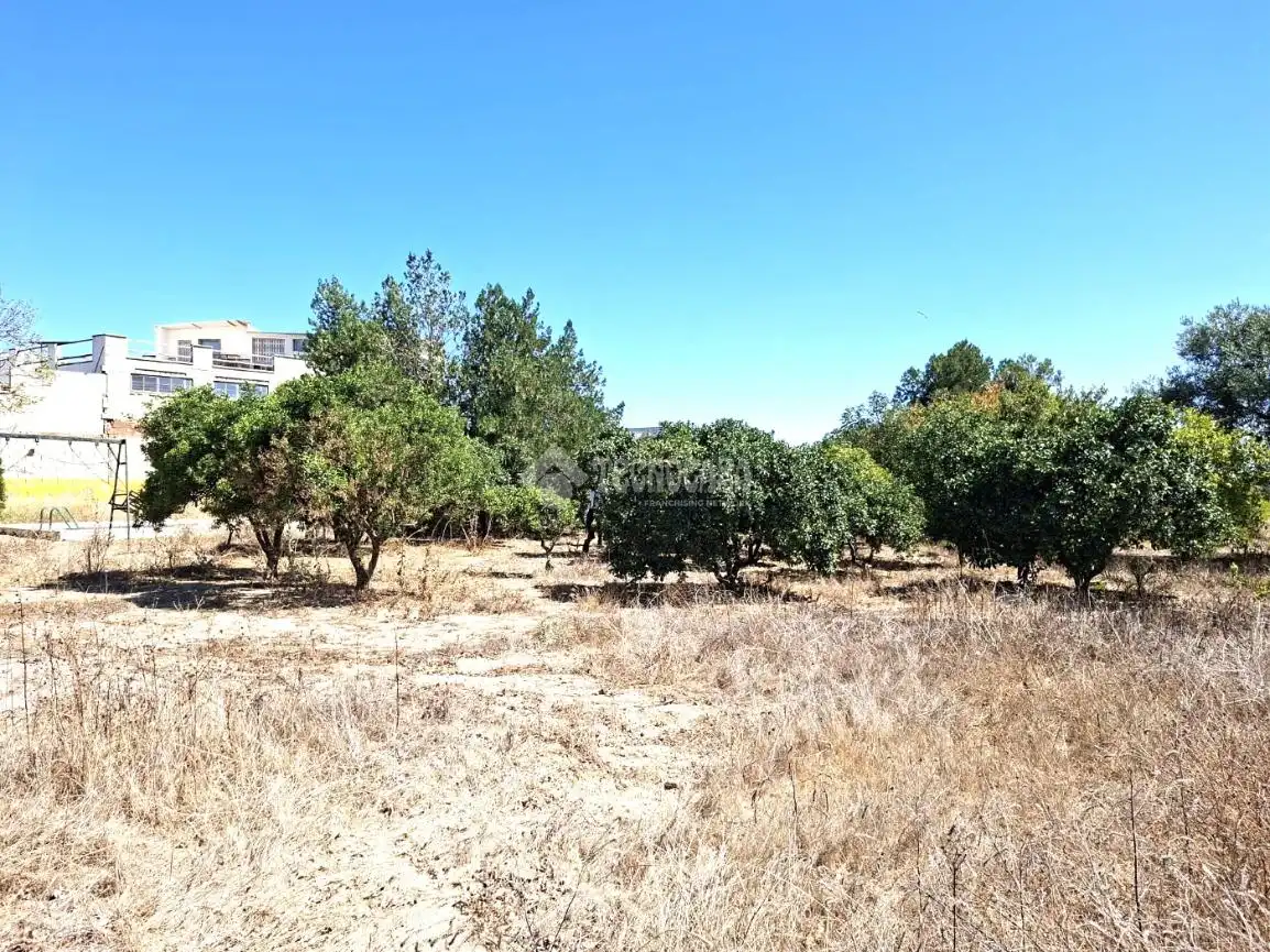 Finca rústica en venta en Almensilla con Trastero