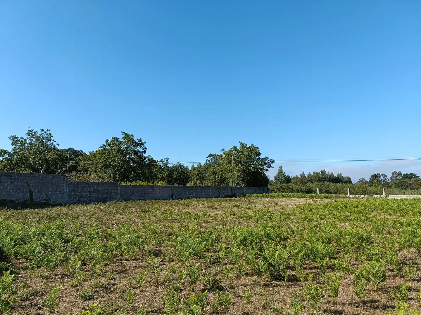 Casa o xalet en venda en Bergondo amb Jardí privat i Traster