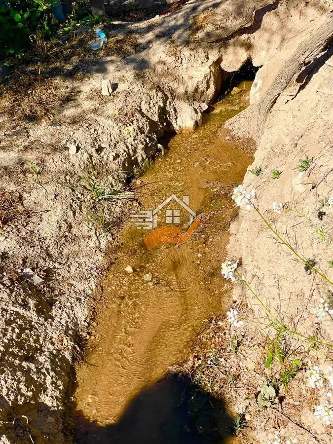 Terreny residencial en venda a Vélez-Rubio, imagen 2