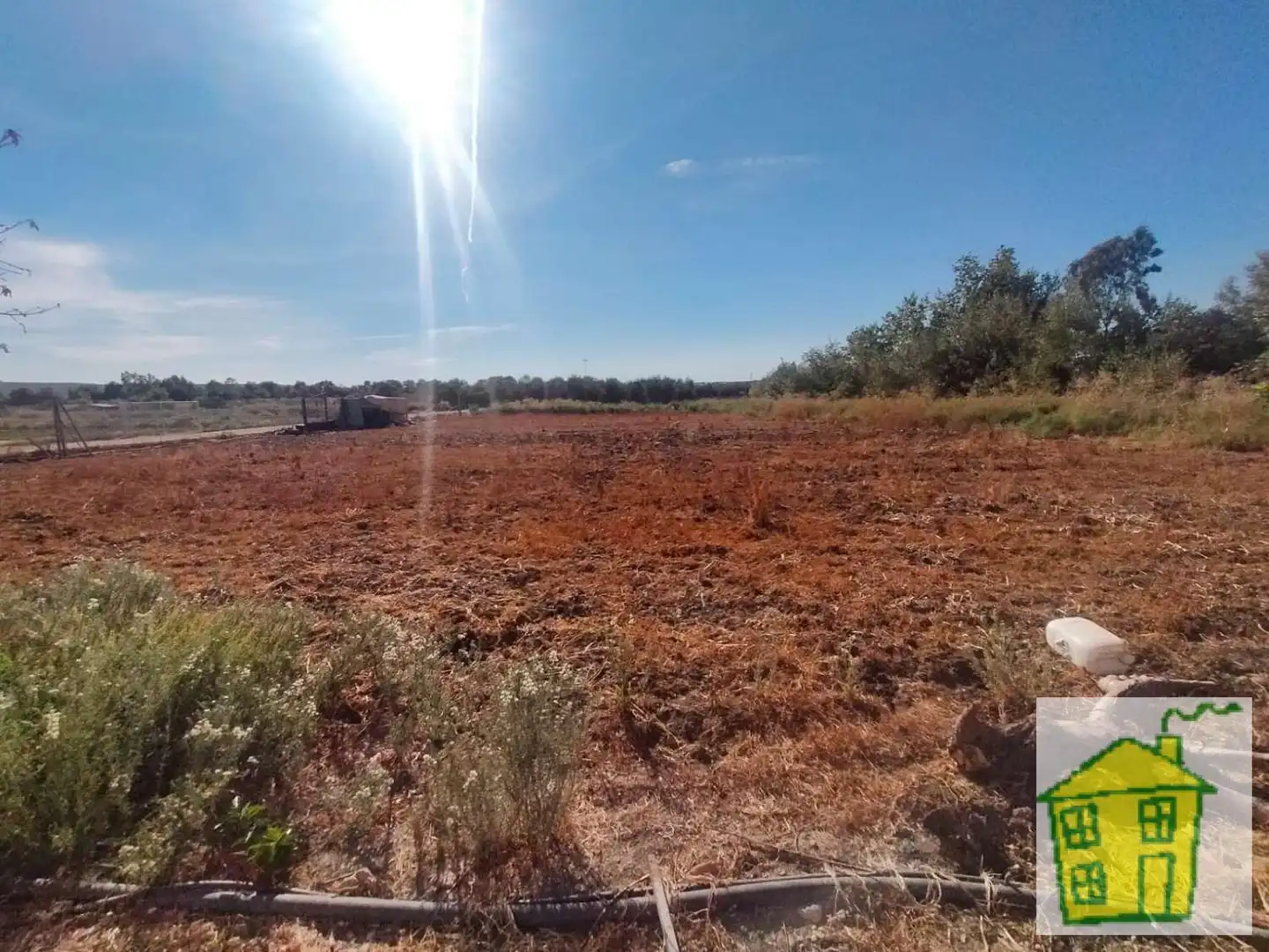 Finca rústica en venta en Marmolejo con Jardín privado