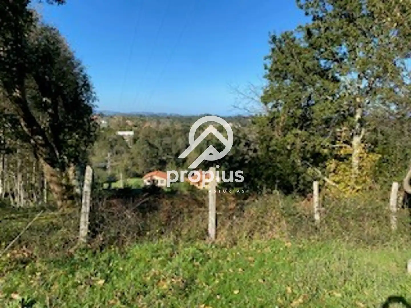 Land for sale in Llanes