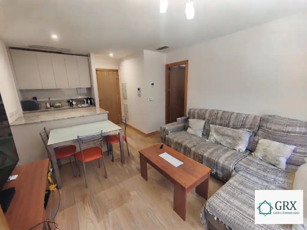 Living room of Flat for rent in Granada  with Air Conditioner, Heating and Storage room