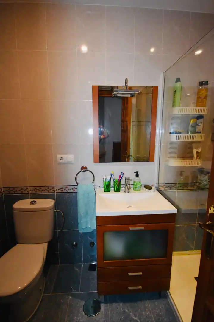 Apartments for rent in Calle TABARCA , 3, Playa Muchavista