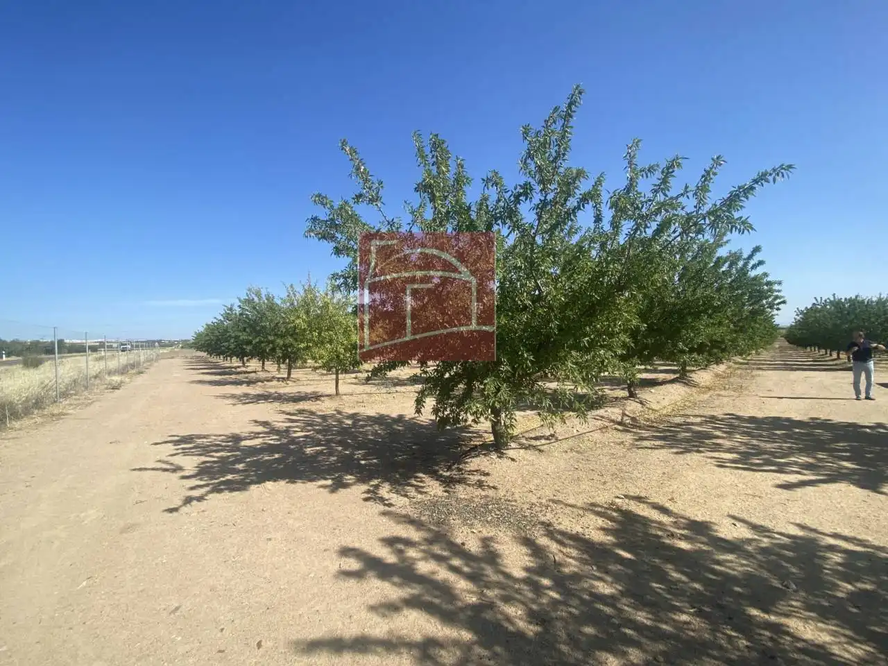 Terreni e lotti in vendita a Villanueva de la Serena, imagen 3