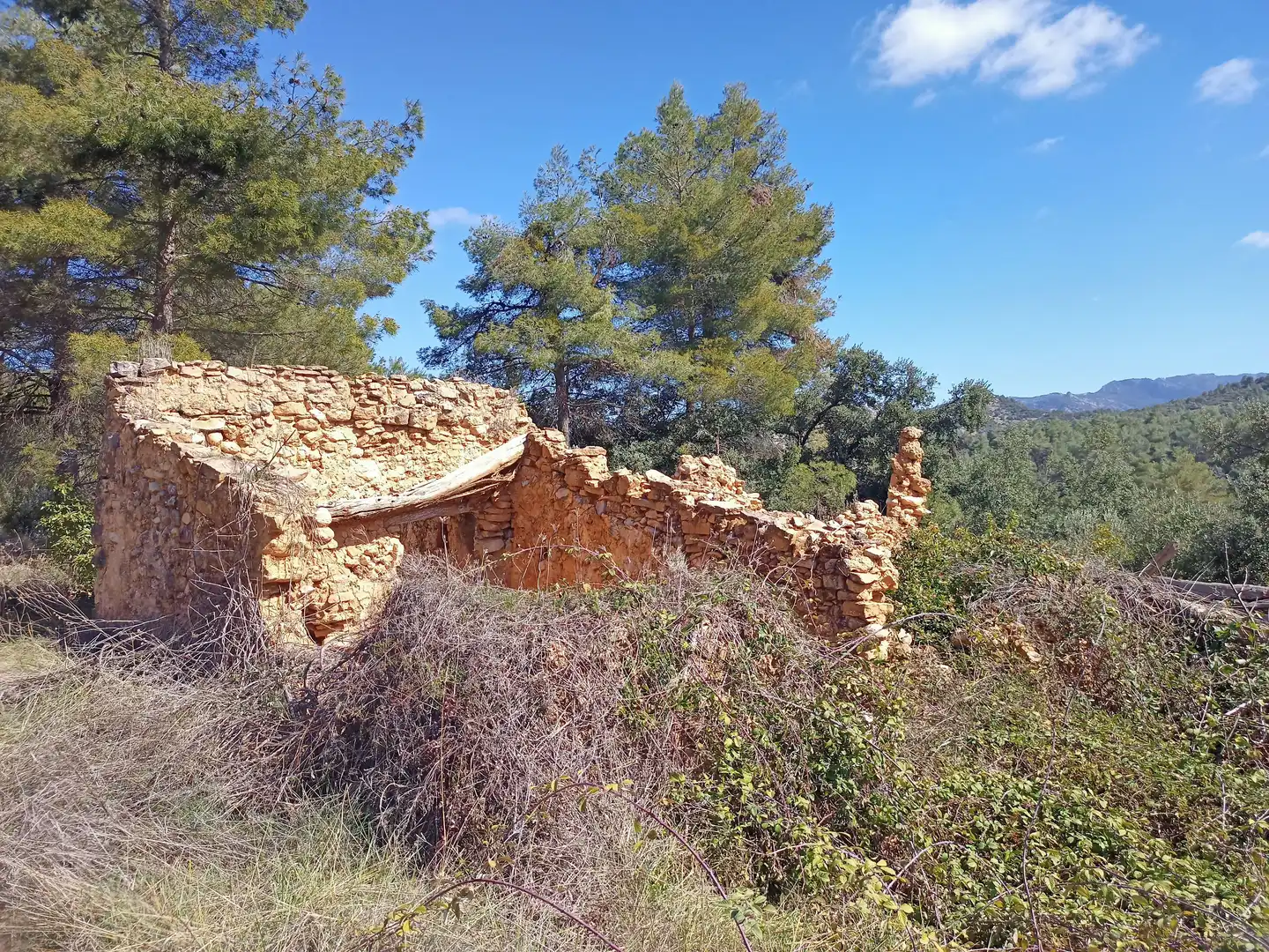 Casa rústica en venda a Cretas, imagen 12