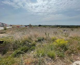 Industrial land for sale in Puigpelat