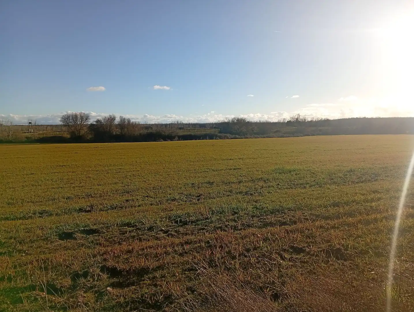 Land for sale in Losar de la Vera