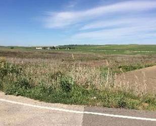 Residential for sale in El Coronil